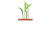 Tallgrass Beef