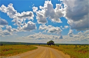 Red Buffalo Ranch Home of Tallgrass Beef